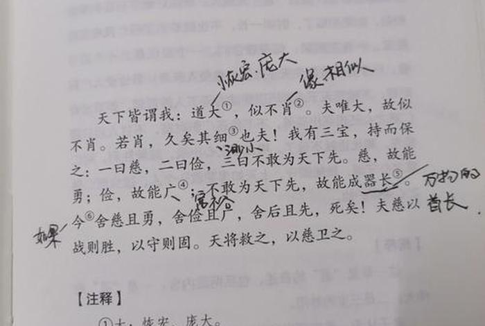 老子敢为天下先作文800字 敢天下为先的作文 老子敢为天下先作文800字 敢天下为先的作文