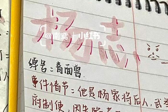 人物小传200字；杨志人物小传200字