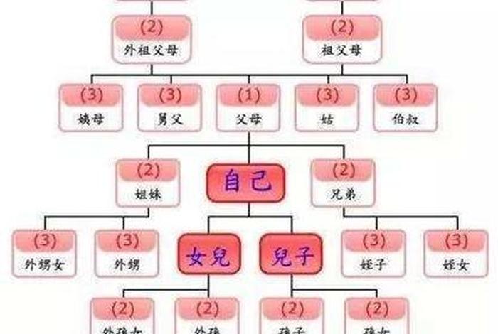 历史人物亲属关系 - 历史人物亲戚关系