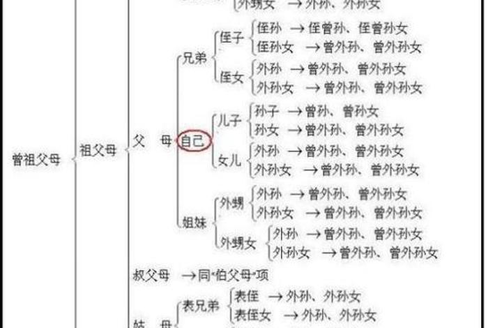 中国现代名人亲属关系图，中国名人的亲戚关系