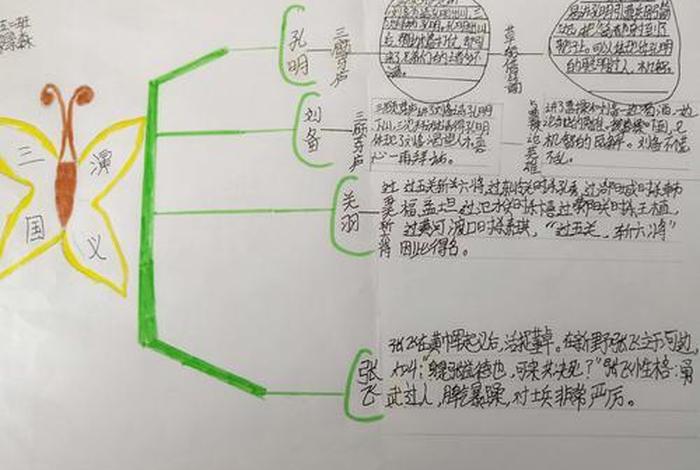 历史人物思维导图手抄报；历史人物思维导图手抄报简单漂亮