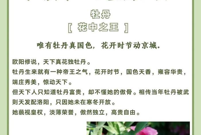 中国的名花排名 中国十大名花排行