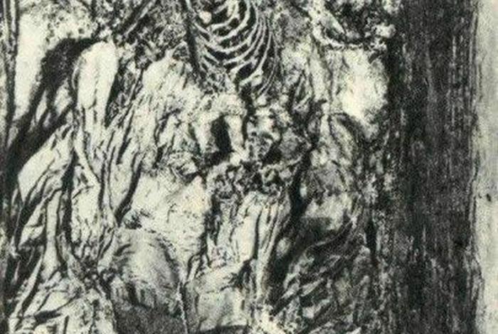 历史名人的遗骸(历史名人的遗骸图片) 历史名人的遗骸(历史名人的遗骸图片)