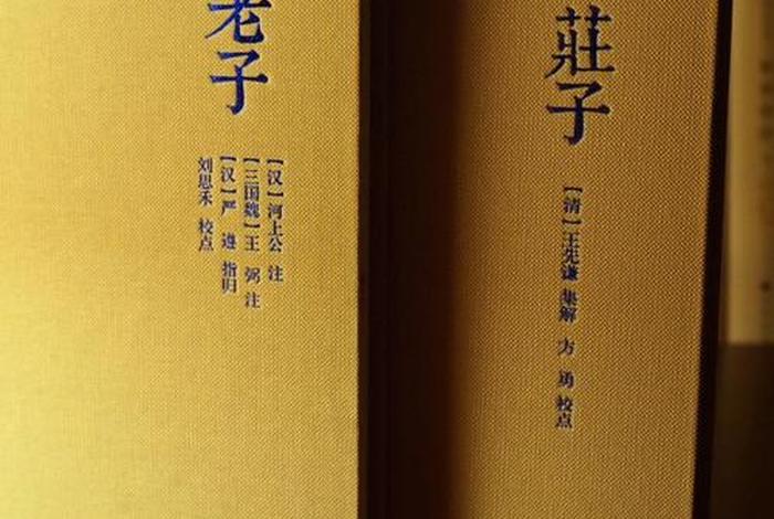 中国历史人物老子作文题目有哪些 - 老子的作文100字左右