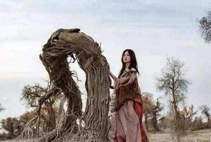 中国人像摄影学会成员名单 中国人像摄影学会成员名单查询 中国人像摄影学会成员名单 中国人像摄影学会成员名单查询