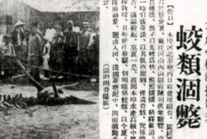 1934历史事件（1934历史事件真相）