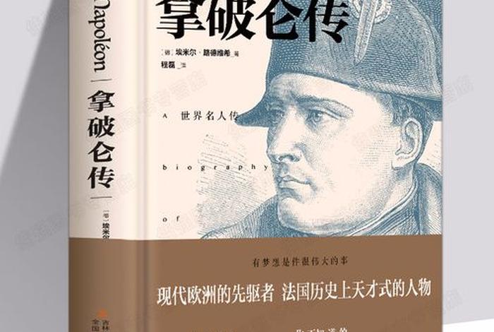 拿破仑历史人物评价（拿破仑历史人物评价100字）