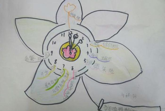 人物花名大全(人物花名大全简笔画) 人物花名大全(人物花名大全简笔画)