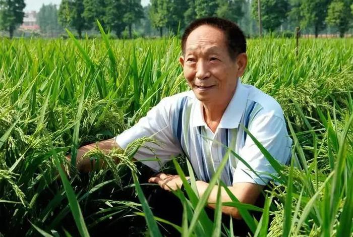 建设新中国的历史人物 - 建设新中国的伟人