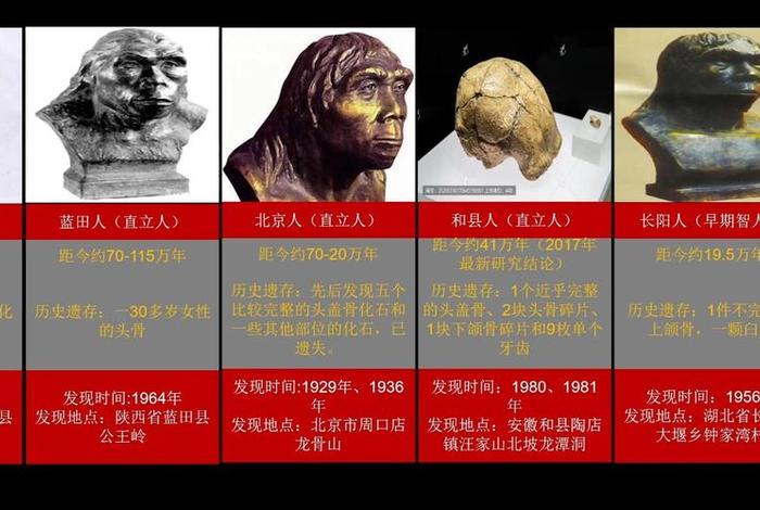 初中历史人物照片、初中历史人物照片大全 初中历史人物照片、初中历史人物照片大全