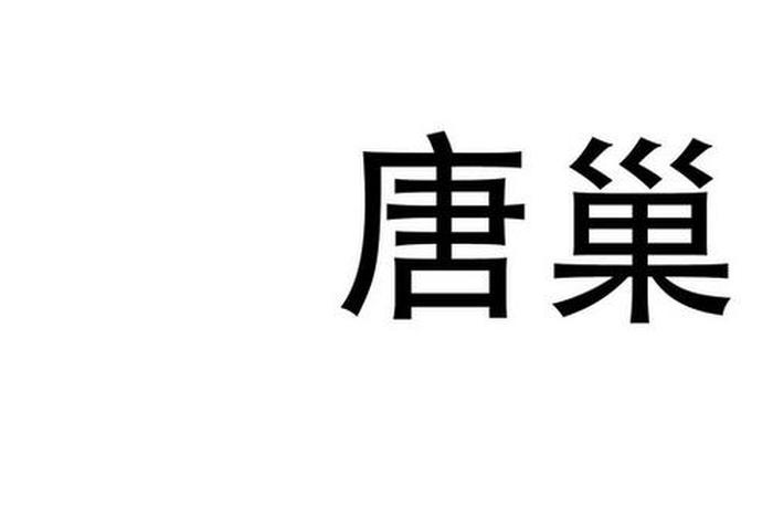 中国历史人物唐巢是谁、唐巢装饰设计工程有限公司 中国历史人物唐巢是谁、唐巢装饰设计工程有限公司