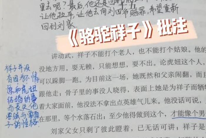 历史怎么批注；历史的批评方法