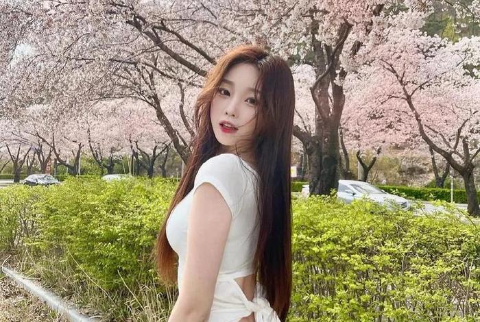 在中国很火的韩国网红；韩国在中国最火的网红