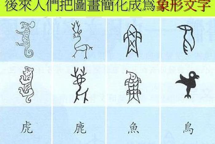 肚字的象形图画、肚字的象形图画大全 肚字的象形图画、肚字的象形图画大全