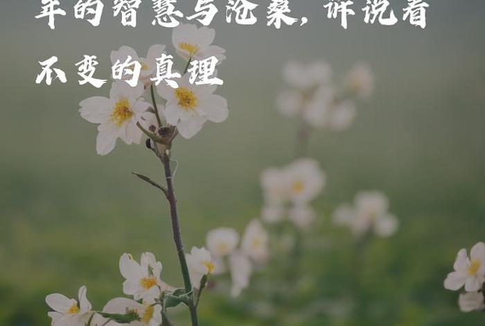 关于人类历史长河句子的描述 - 关于人类历史长河句子的描述正确的是 关于人类历史长河句子的描述 - 关于人类历史长河句子的描述正确的是