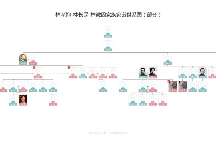 林徽因人物关系图;林徽因关系网图 林徽因人物关系图;林徽因关系网图