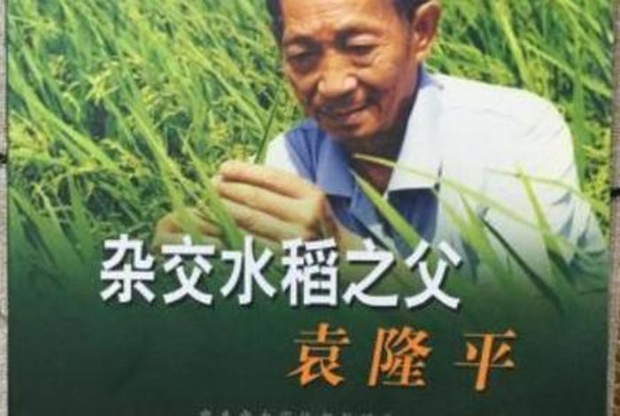 袁隆平算历史人物吗 - 袁隆平是功臣吗 袁隆平算历史人物吗 - 袁隆平是功臣吗