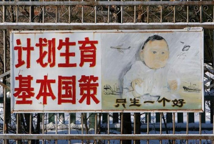 计划生育的历史责任、计划生育的历史责任谁来负