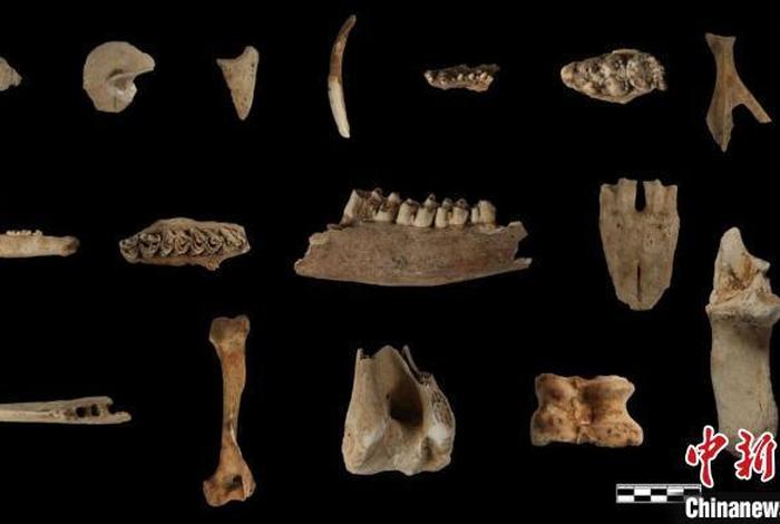 中国古人类遗骸 世界上出土古人类遗骸最丰富的地方 中国古人类遗骸 世界上出土古人类遗骸最丰富的地方