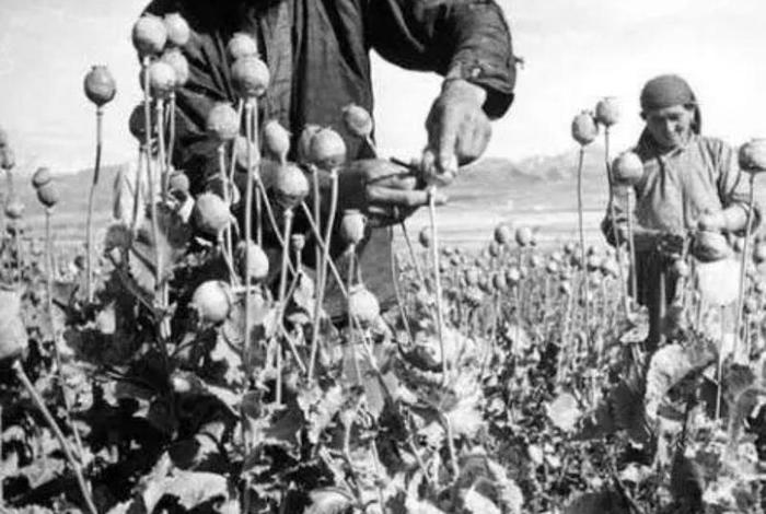 档案揭秘的真实历史人物（档案背后的故事）