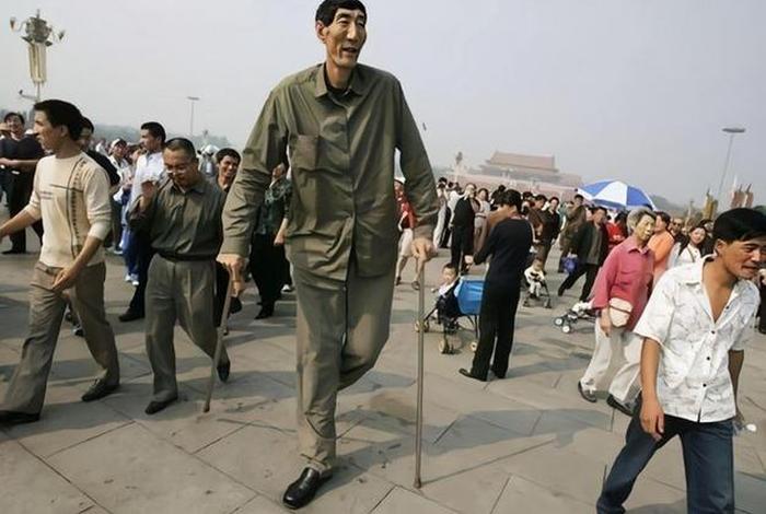 历史著名人物身高(历史高人身高排行榜) 历史著名人物身高(历史高人身高排行榜)