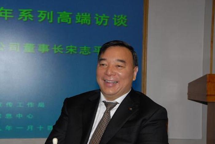 人物履历 宋志平人物履历