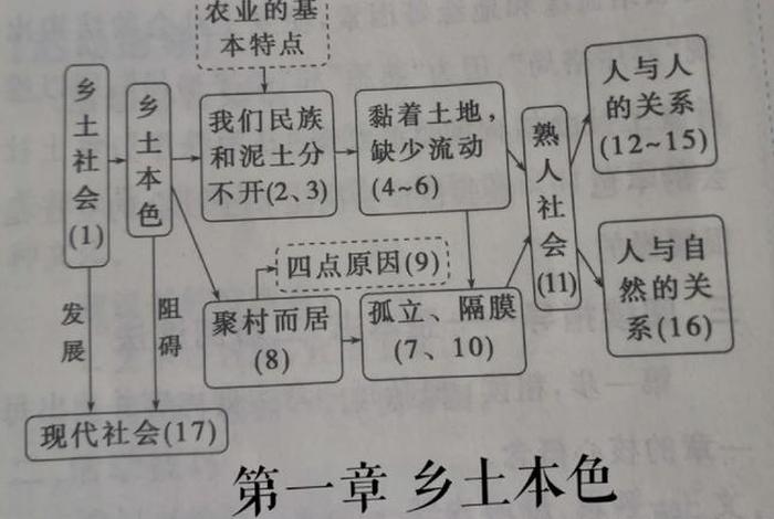 乡土中国礼治秩序思维导图(乡土中国礼治秩序思维导图图片) 乡土中国礼治秩序思维导图(乡土中国礼治秩序思维导图图片)