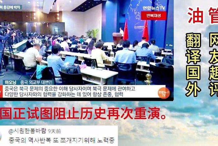 油管外国教授讲中国历史(老外学中国历史) 油管外国教授讲中国历史(老外学中国历史)