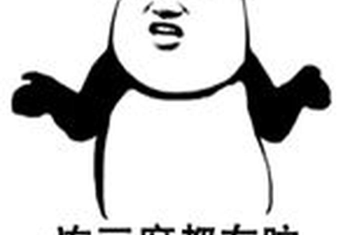 没有脑子的人是谁 - 没有脑子的东西 没有脑子的人是谁 - 没有脑子的东西