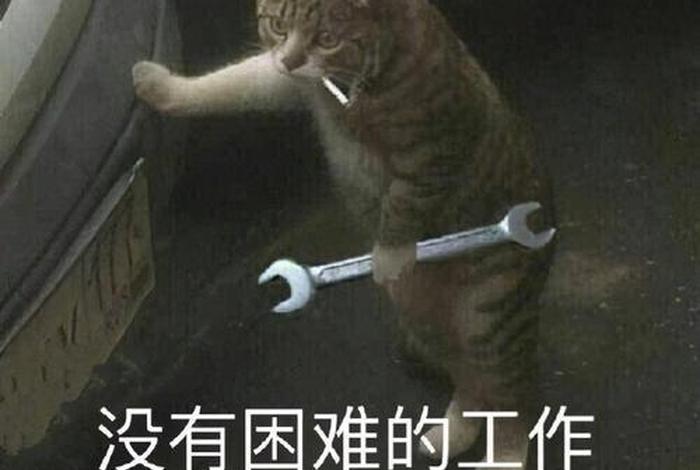 埋头苦干的人代表人物,埋头苦干的人及其事例 埋头苦干的人代表人物,埋头苦干的人及其事例