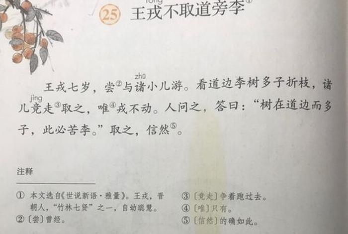 中国历史故事王戎;王戎的历史故事简单 中国历史故事王戎;王戎的历史故事简单