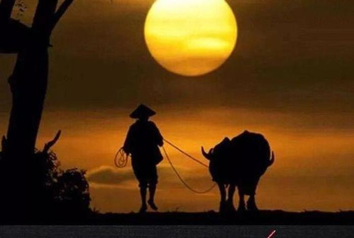 中国有什么历史人物还活着(中国还有哪些英雄人物活着) 中国有什么历史人物还活着(中国还有哪些英雄人物活着)