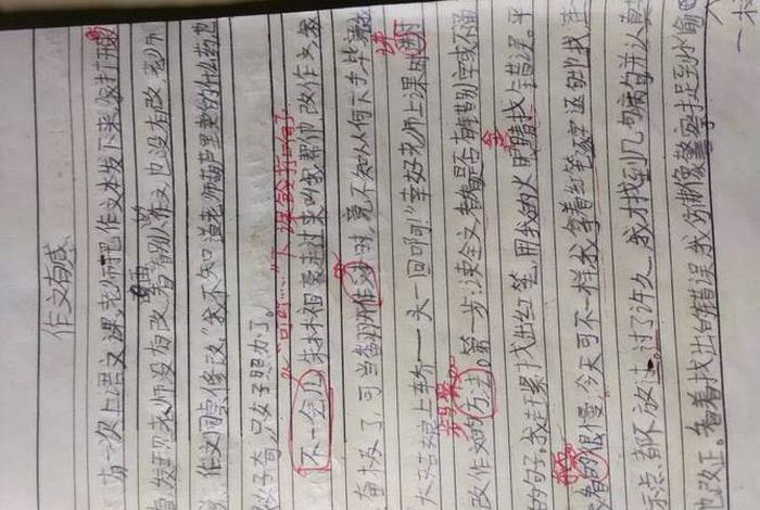 历史怎么批注；历史的批评方法