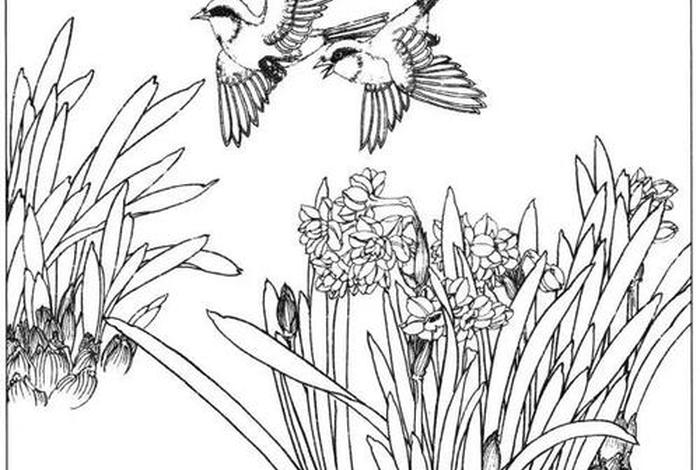 儿童简笔画白描 - 儿童画白描画图片大全 儿童简笔画白描 - 儿童画白描画图片大全