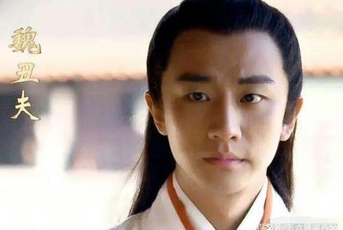 历史人物庸芮 - 庸芮的扮演者 历史人物庸芮 - 庸芮的扮演者