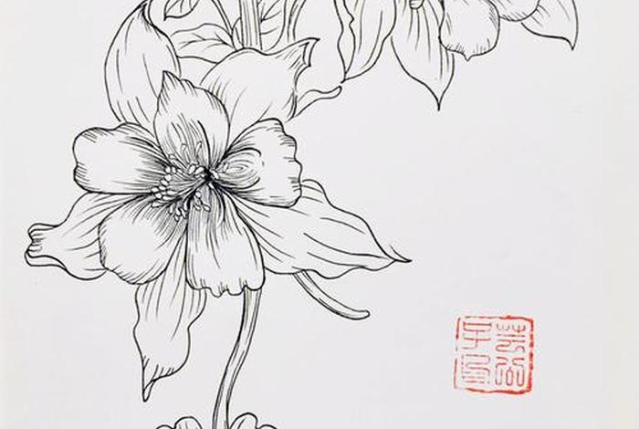 人物花名大全(人物花名大全简笔画) 人物花名大全(人物花名大全简笔画)