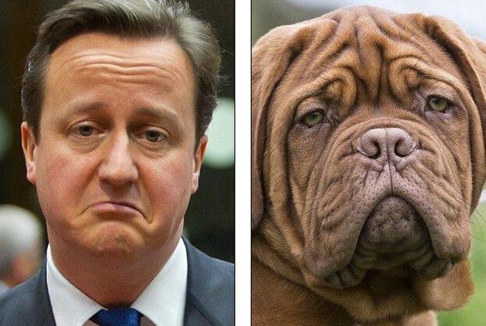 普京撞脸 普京的cp 普京撞脸 普京的cp