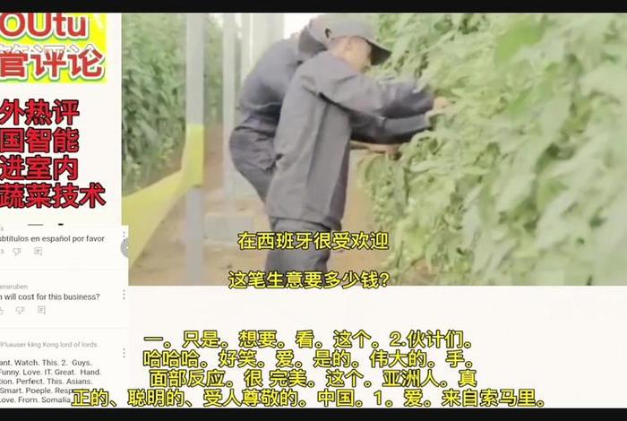 老外热评中国历史人物视频；外国网友热议中国历史