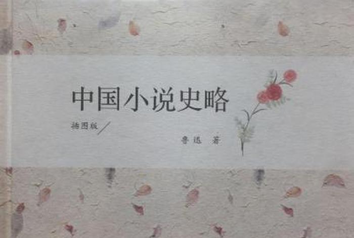 中国小说史略人民文学出版社 中国小说史略人民文学出版社有多少页 中国小说史略人民文学出版社 中国小说史略人民文学出版社有多少页