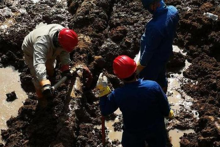 埋头苦干的人物(埋头苦干的人物素材) 埋头苦干的人物(埋头苦干的人物素材)