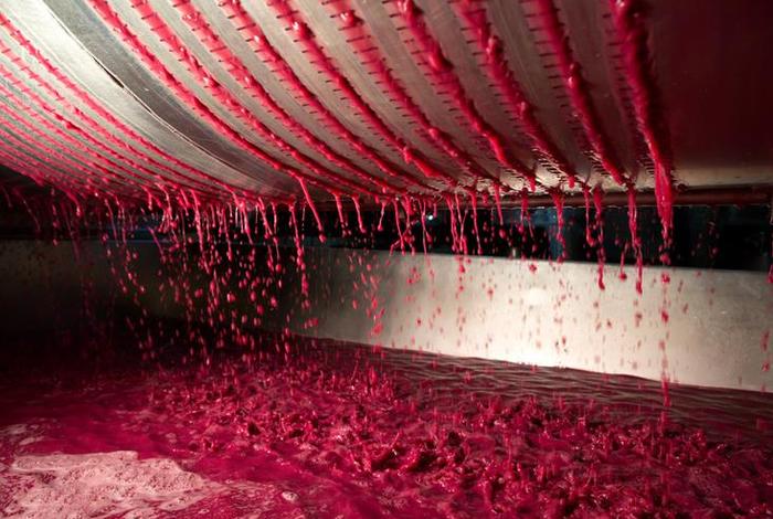 中国历史上酿葡萄酒 - 中国近代葡萄酒酿造业始于