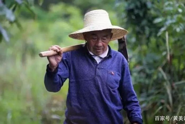 埋头苦干的历史人物有哪些?、埋头苦干的名人有哪些 埋头苦干的历史人物有哪些?、埋头苦干的名人有哪些