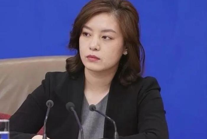 老外评价张京翻译 老外如何看待张京的英语 老外评价张京翻译 老外如何看待张京的英语