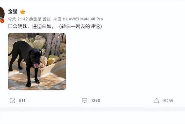 评论金星金星的文章 金星发文点评 评论金星金星的文章 金星发文点评