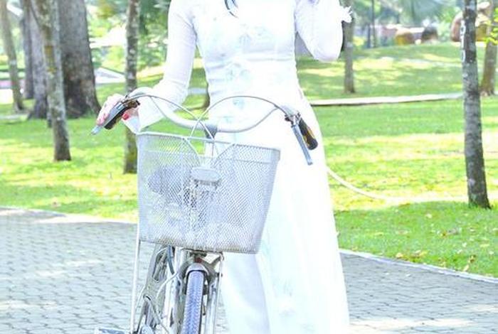 越南的历史人物（越南历史人物一览表）