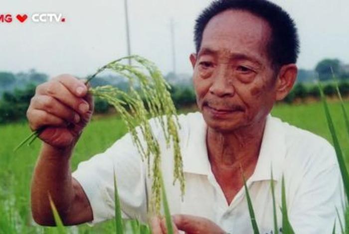 袁隆平是否属实、袁隆平算不算伟人？