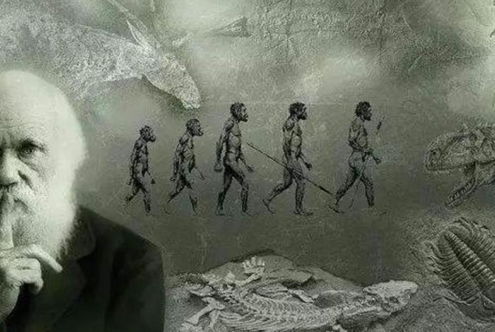 直播中国历史从人类起源开始(中国从有人类开始的历史是怎么样的) 直播中国历史从人类起源开始(中国从有人类开始的历史是怎么样的)