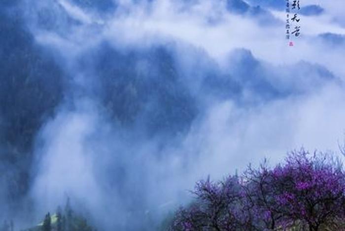 中国摄影史上优秀作品(中国摄影著作) 中国摄影史上优秀作品(中国摄影著作)