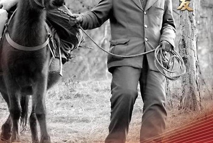 中国历史人物奋斗历程（中国历史人物奋斗历程图片）