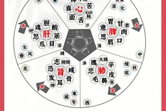 五行论的历史 五行理论是谁最先提出 五行论的历史 五行理论是谁最先提出